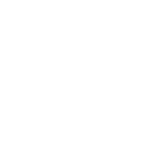 Fizz